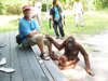 Gregg with orangutan at Camp Leakey, Kalimantan, Indonesia